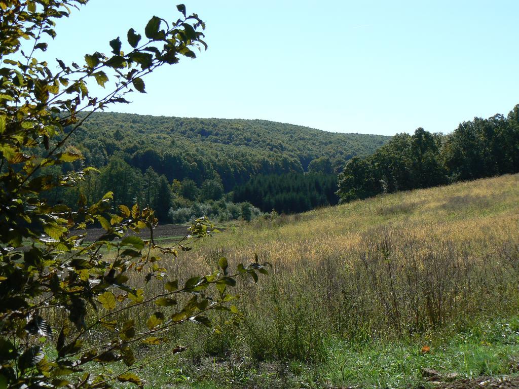 Country House Stoljetna Vila Seona 外观 照片