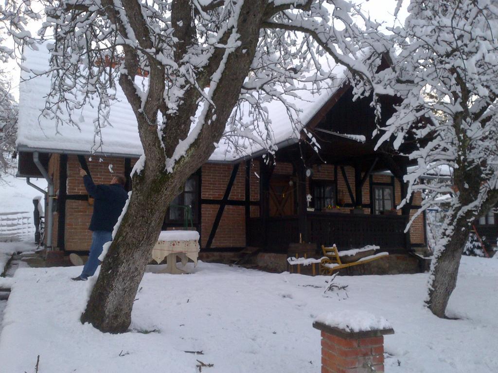 Country House Stoljetna Vila Seona 外观 照片