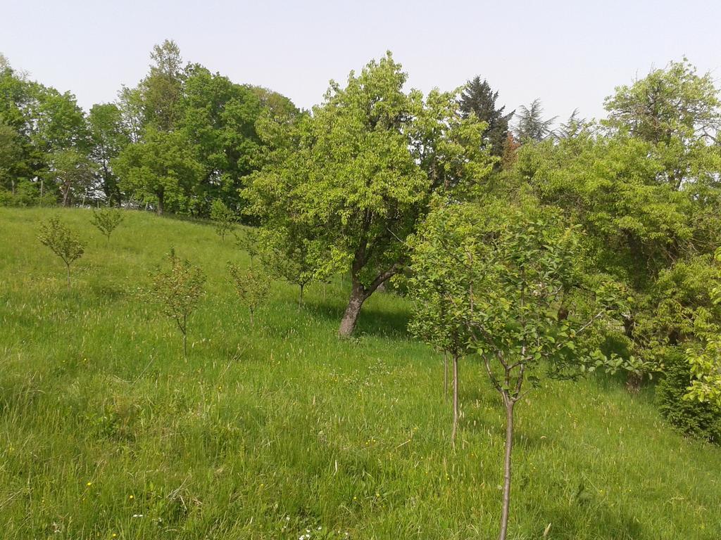 Country House Stoljetna Vila Seona 外观 照片
