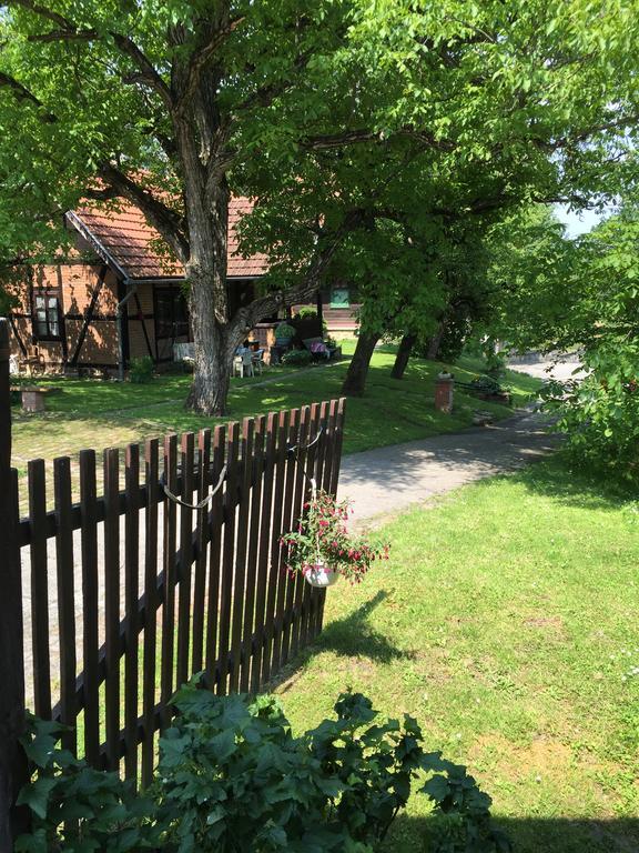 Country House Stoljetna Vila Seona 外观 照片