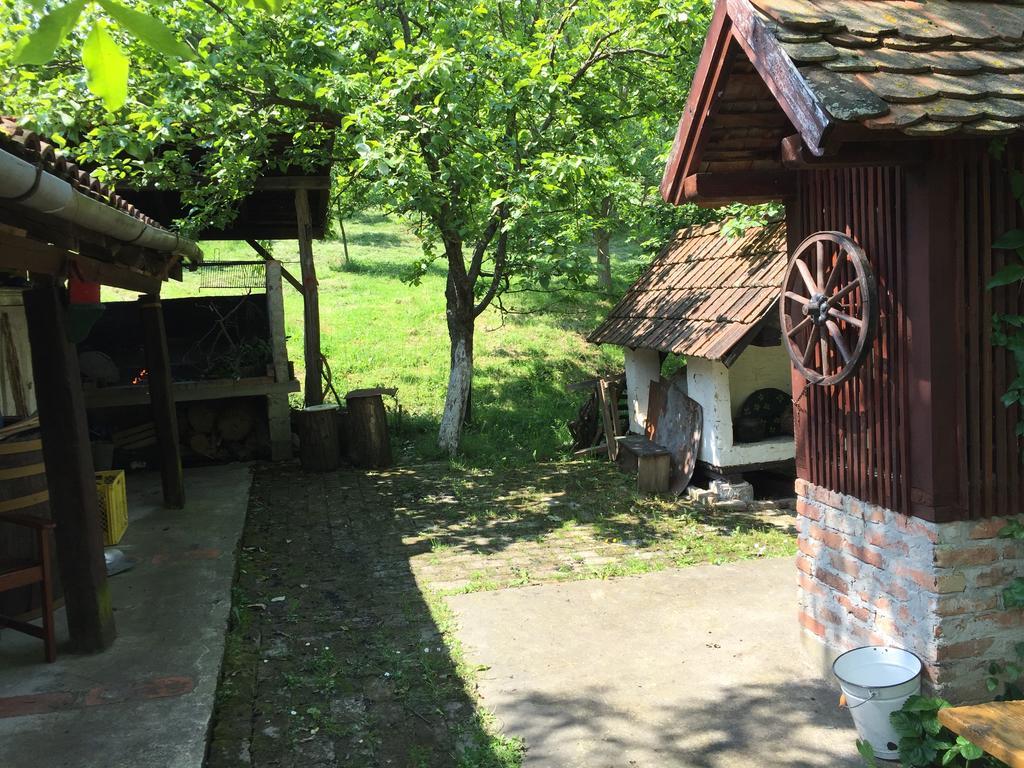 Country House Stoljetna Vila Seona 外观 照片