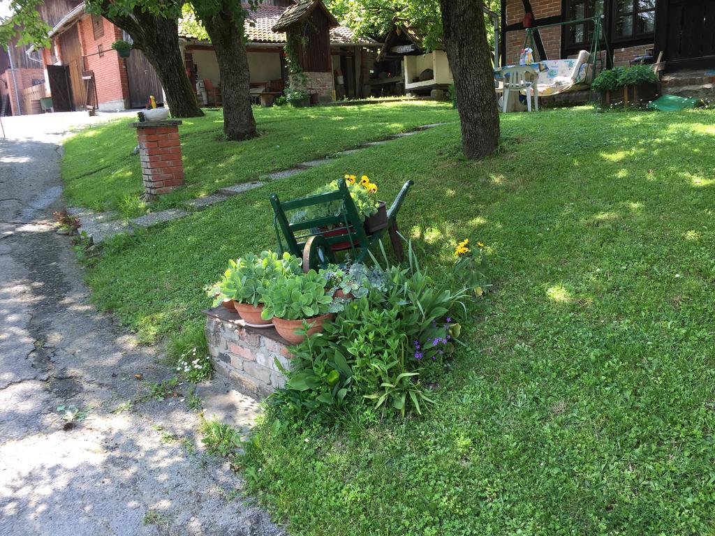 Country House Stoljetna Vila Seona 外观 照片