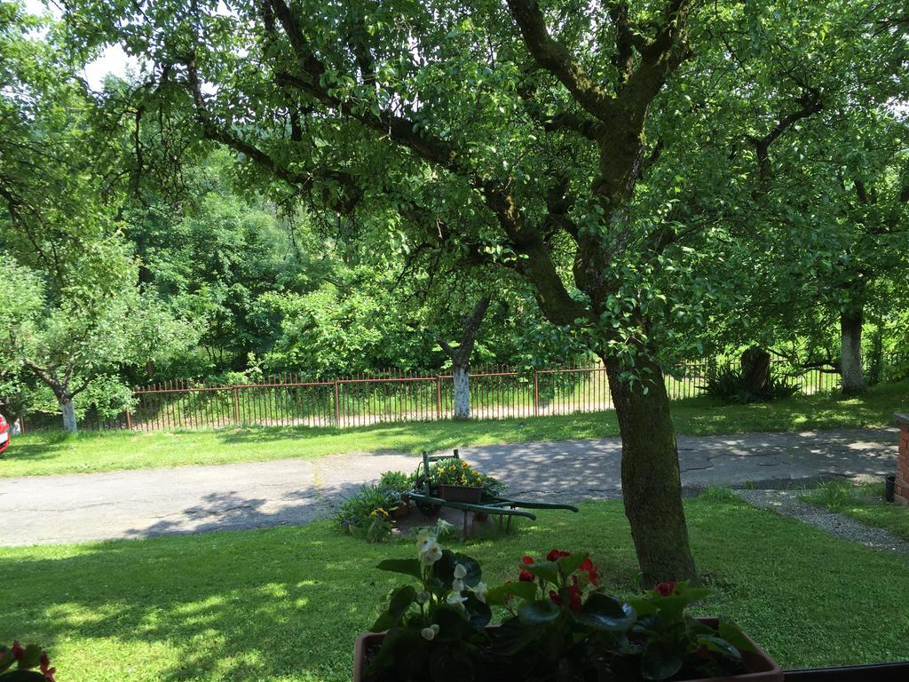 Country House Stoljetna Vila Seona 外观 照片