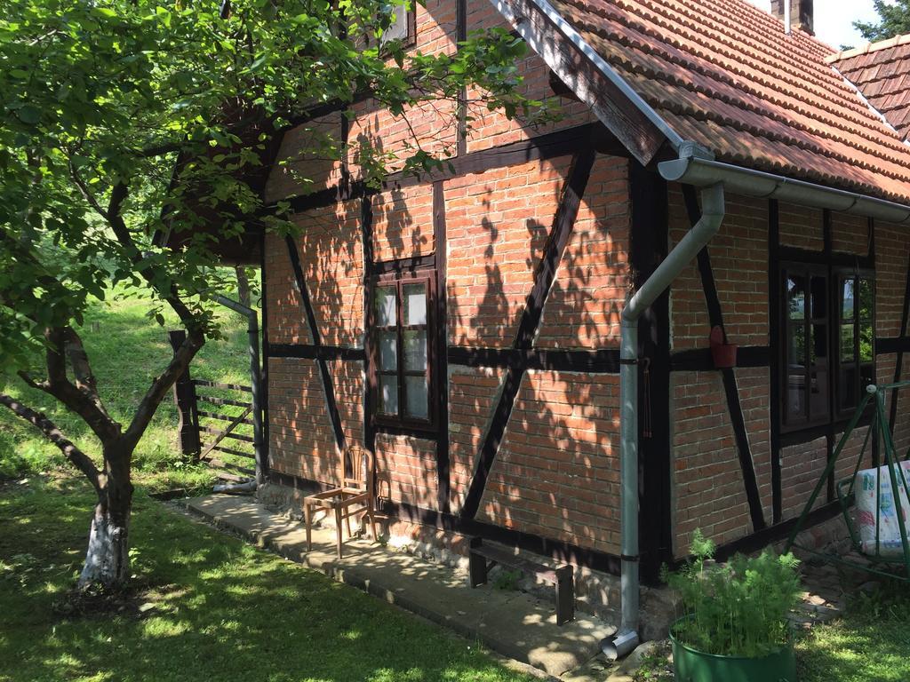 Country House Stoljetna Vila Seona 外观 照片