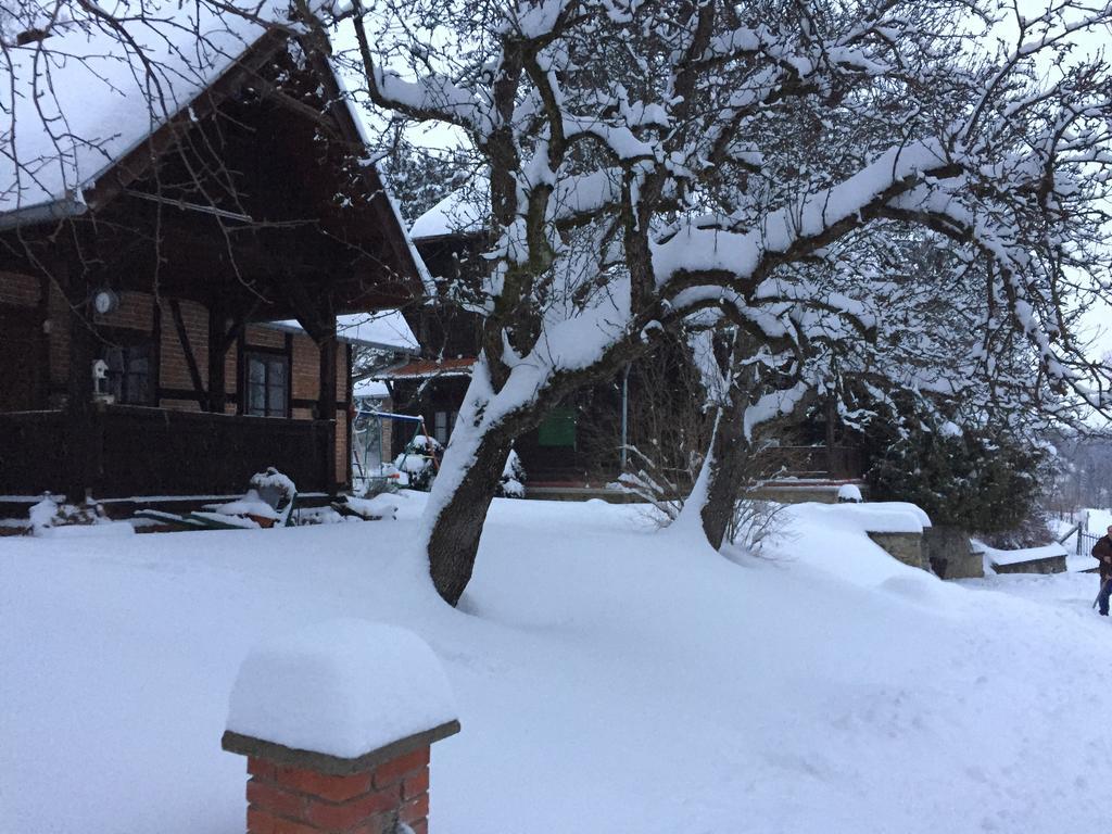 Country House Stoljetna Vila Seona 外观 照片