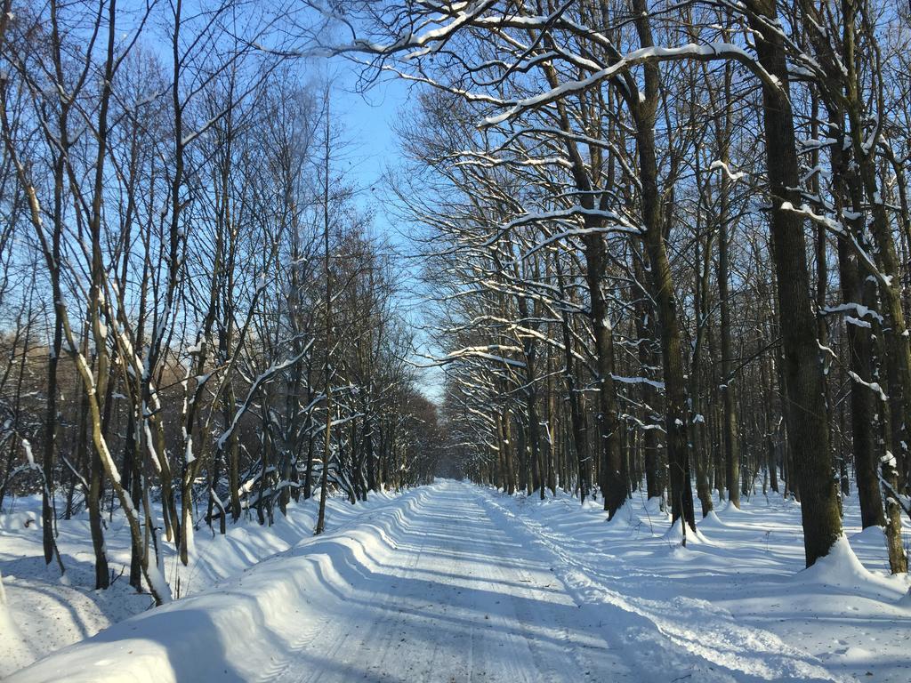 Country House Stoljetna Vila Seona 外观 照片