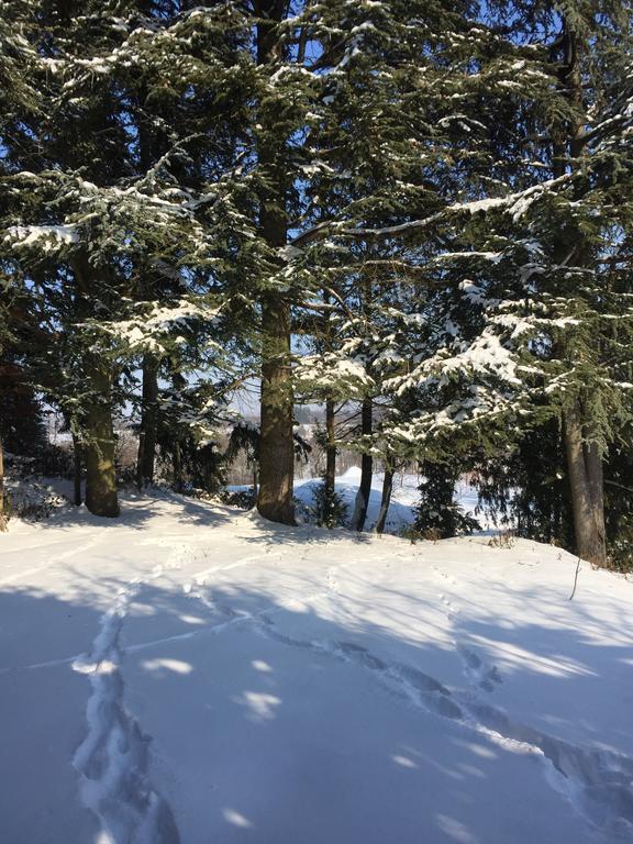 Country House Stoljetna Vila Seona 外观 照片