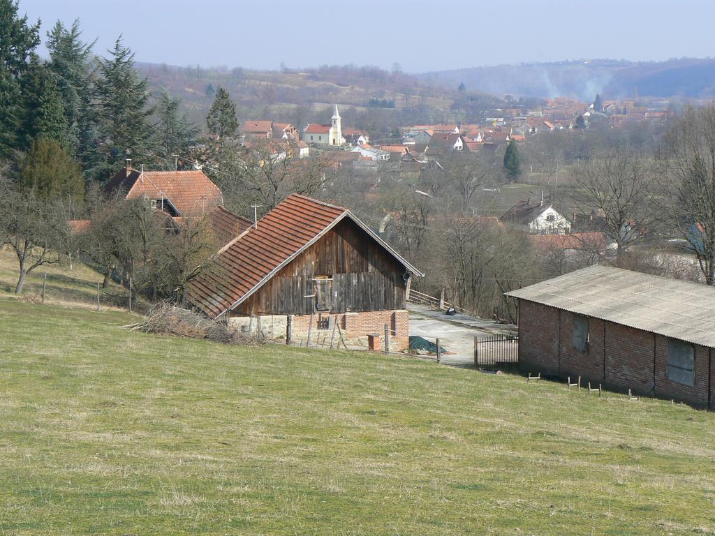 Country House Stoljetna Vila Seona 外观 照片