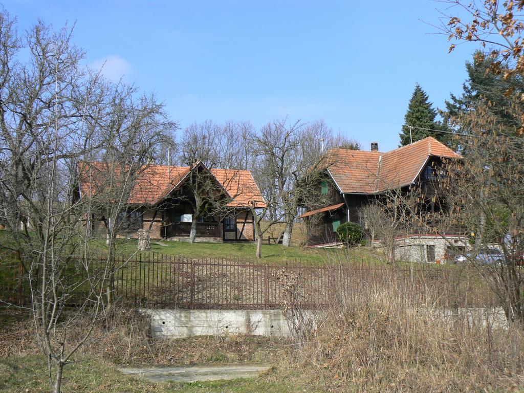 Country House Stoljetna Vila Seona 外观 照片